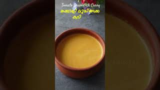 തക്കാളി മുരിങ്ങക്ക ഒഴിച്ച് കറി  Thakkali Muringakka Curry Recipe  Tomato Curry  Ozhichu Curry [upl. by Qooraf]