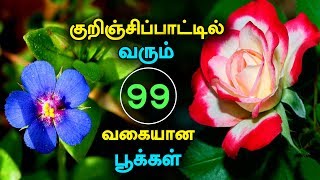 Collection of 99 Tamil Flowers Described in Kurunjipaatu [upl. by Aken]