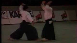 Aikido and Aikibudo at Bercy Paris 1989 [upl. by Salomie]