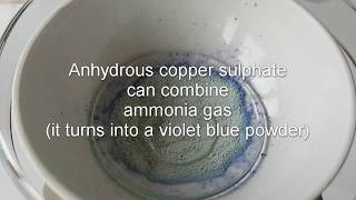 Copper sulphate dehydration and reaction with ammonia [upl. by Triny135]