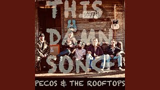 Pecos amp The Rooftops  This Damn Song Official Video [upl. by Ehrsam]