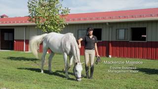 Equine Science amp Equestrian Program at Otterbein University [upl. by Nyltiac]