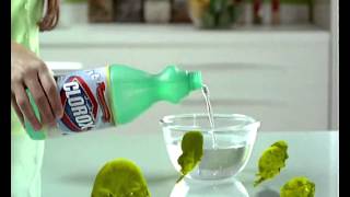 Clorox CleanUp  Bacteria [upl. by Ecirahs]