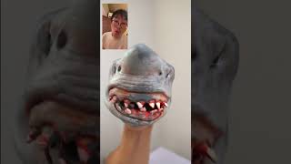 Shark puppet Try trend shooting scene shorts try [upl. by Maggie648]