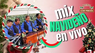 Mix navideño  cover Marimba Alegre Princesita en vivo [upl. by Leander]