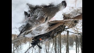 Late Season Deer Hunts CO Book Review  Michigan Out of Doors TV 1802 [upl. by Asila]