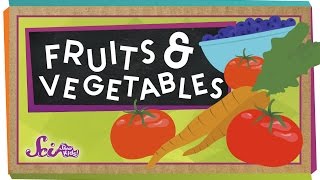 Whats the Difference Between Fruits and Vegetables [upl. by Weixel]