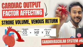 factor affecting cardiac output physiology  regulation of cardiac out  venous return physiology [upl. by Yenobe]