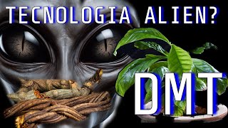 DMT TECNOLOGIA ALIEN [upl. by Anissa764]