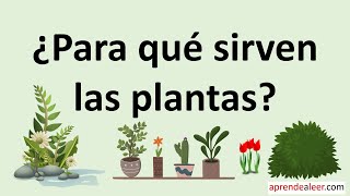 Para que sirven las plantas [upl. by Uahc]