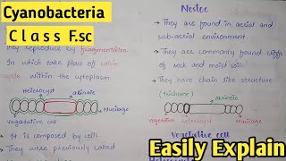 Cyanobacteria In Urdu  Class 11 Biology [upl. by Reynold]