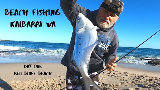 Beach Fishing in Kalbarri WA Day One Red Bluff Beach [upl. by Dumm]