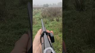 Tir d’un chevreuil au fusil à 15m encore un joli loupé😅🦌 chasse hunting tapeautour chasseur [upl. by Hulbig678]