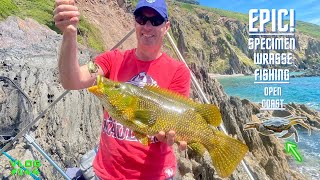 Sea Fishing Uk  Epic Wrasse Fishing With Crab  Vlog144 [upl. by Diao962]