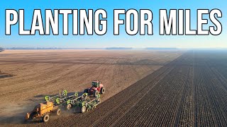 Planting Barley BEGINS  Planting 2023  Farming in Australia  Vlog 165 [upl. by Eeclehc254]