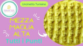 Mezza Maglia Alta  TUTTI I PUNTI TUNISINI [upl. by Monia598]