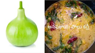 ఆనపకాయ నీ పాలు పోసి వండండి సూపర్ టెస్ట్ anapakaya palu curry recipe by nandini [upl. by Eiluj]