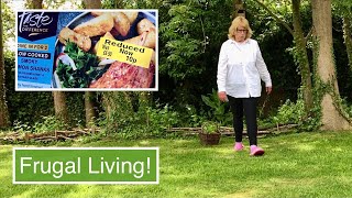 GREAT DEALS   CONTAINER GARDENING  FRUGAL LIVING VLOG [upl. by Ojeillib]