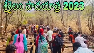 Srisailam padayatra 2023  Venkatapuram to Srisailam padayatra full Details explain Telugu [upl. by Yroffej]