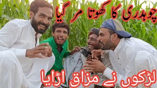 chauddhry ka khota mar gya🤩 larkon ny kya mazaq  funny vlogs  ijaz khan vlogs [upl. by Criswell944]