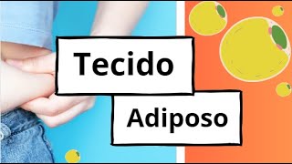 Histologia Tecido Adiposo [upl. by Meg]