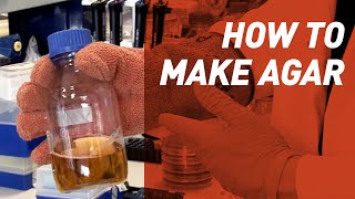 How to make Agar  Singer Instruments [upl. by Mathews929]