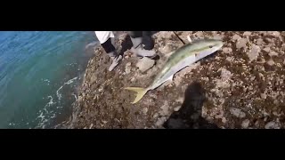 Manukau harbour land based summer fishing [upl. by Erl]