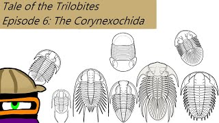 The Tale of The Trilobites Ep 6 The Corynexochida [upl. by Trah]