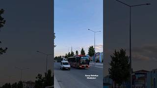 Konya Belediye Otobüs Geçişleri 239 60 Öznare Toki Tramvay Man Lions City G EfficientHybird CNG [upl. by Bergmann]