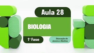 Biologia  Aula 28  Relação entre genótipo e fenótipo [upl. by Hgielrac224]