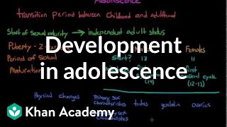 Physical development in adolescence  Behavior  MCAT  Khan Academy [upl. by Kubis]