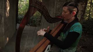 Harp in Rivendell Irish harpist Úna Ní Fhlannagáin playing at Lord Of The Rings film location NZ [upl. by Eurd]