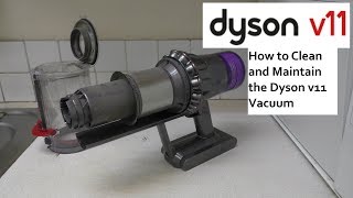 How to Clean and Maintain the Dyson V11 Cordless Vacuum Cleaner [upl. by Euqor]