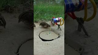 Creative DIY Bird Trap  Quail Trap shorts  Make Traps [upl. by Hein]