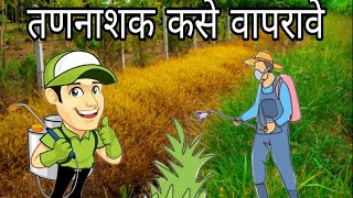 तणनाशक कसे वापरावेparaquat dichloride 24  fast [upl. by Reppep]