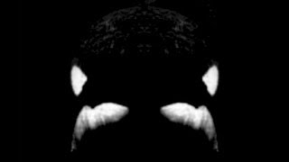 Archive Tilikum Splash Segment from 1994 [upl. by Jaan]