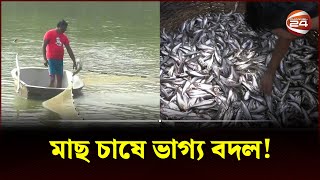 মাছ চাষে ভাগ্য বদল রিগানের  Natore News  Cholon Bil  Channel 24 [upl. by Cecilia430]