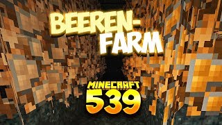 BEERENFARM  Unendlich Metalle amp XP 🌳 MINECRAFT LiTW 539 [upl. by Gerty]