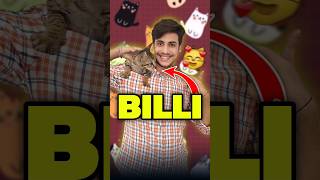 Billi Ka Baccha Aa Gaya 😨😨  Mini Vlog shorts minivlog ashortaday vlog tranding cat [upl. by Notsob743]