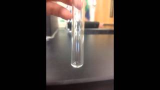 Dehydration of Alcohol Experiment [upl. by Alathia]