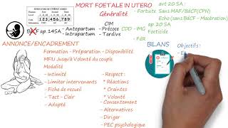 MORT FŒTALE IN UTERO Première Partie  Généralité [upl. by Trauner151]