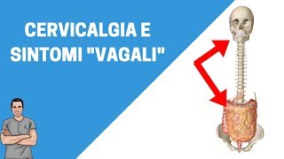 Dolore cervicale e sintomi quotvagaliquot tachicardia svenimenti vertigini [upl. by Livi]