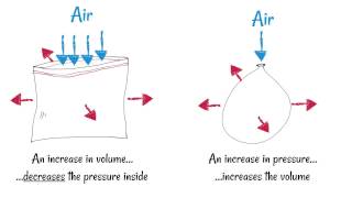 Inhaling and Exhaling  How breathing works [upl. by Anilorak800]