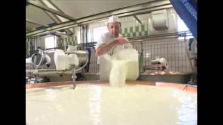 Come si fa il formaggio Asiago Tutte le risposte in questo video [upl. by Acinomed]