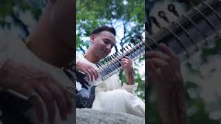 Sitar for mental health viralreels love sitara sitarist sitaraformentalhealth love [upl. by Danforth]