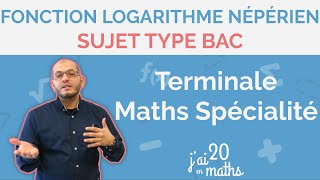 Sujet type bac  Fonction logarithme népérien  Terminale Maths Spécialité [upl. by Lunseth]