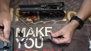 CZ Shadow 2 PO Ready  EEMANN TECH Upgrade kit and flat trigger installation [upl. by Aiker473]