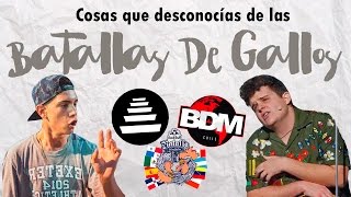 5 Curiosidades Sobre Las Batallas De Los Gallos Rap Que No Sabías [upl. by Nosyd]