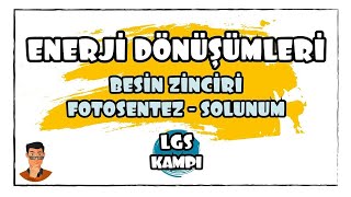 Enerji Dönüşümleri  Besin Zinciri  Fotosentez  Solunum  LGS Kampı [upl. by Roel793]