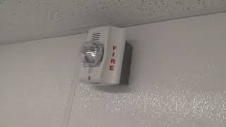 System Sensor P2W SpectrAlert Advance Fire Alarm [upl. by Akirehc]